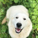 Bella